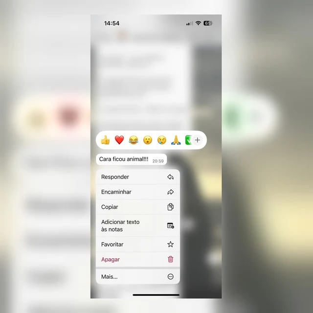 Mensagem de aprovação recebida pelo WhatsApp